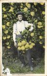 CPA In Midi Winter E C Walker Among The Grape Fruit Vero Florida