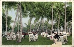 CPA Afternoon Tea At The royal Poinciana Palm Beach Fla