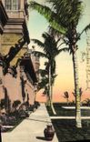 CPA Palm Beach Florida Looking Out To The Gulf Stream From The Brekers Hotel
