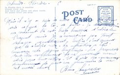 Lago Eola Orlando la Florida de la POSTAL de la VENDIMIA