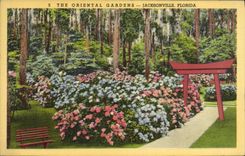 VINTAGE POSTCARD Eastern The Gardens Jacksonville Florida