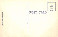 CPA Azalea Time In Florida Cypress Gardens