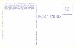 CPA Flamingos And Nests At Hialeah Race Course Hialeah Fla