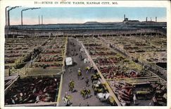 VINTAGE POSTCARD Scene In Stock Yards Kansas City Mo