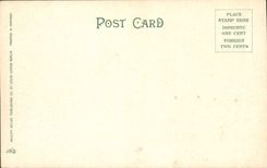 VINTAGE POSTCARD City Hall St Louis Mo