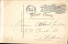 VINTAGE POSTCARD Mount Tacoma Washington