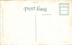 VINTAGE POSTCARD Flowers In Indian Henry' S Hunting Ground MT Rainier Washington