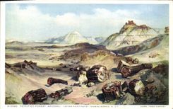 VINTAGE POSTCARD Arizona Petrified Forest
