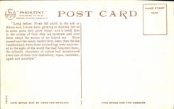 VINTAGE POSTCARD Arizona Petrified Forest