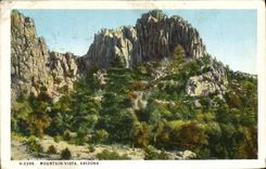 VINTAGE POSTCARD Arizona Mountain Vista