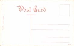 VINTAGE POSTCARD Chicago Humboldt Park Stone Bridge and Lily Lays