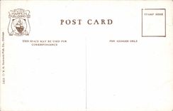 VINTAGE POSTCARD Chicago Lily Lays in Lincoln park