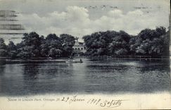 VINTAGE POSTCARD Chicago Scene in Lincoln Park Chicago