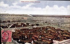 VINTAGE POSTCARD Chicaco Union Stock yards Cows Cattle