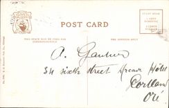 VINTAGE POSTCARD Chicaco Union Stock yards Cows Cattle