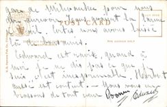 VINTAGE POSTCARD Chicago Cattle Pens and Runways Union Stock Yards Cows Cattle