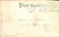 VINTAGE POSTCARD Chicago Union Stock Yards Cows Cattle