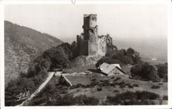 VINTAGE POSTCARD Auvergne Castle of Tournoel