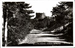 VINTAGE POSTCARD Auvergne Castle of Murois