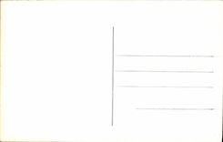 VINTAGE POSTCARD Auvergne Castle of Murois