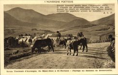VINTAGE POSTCARD Auvergne Poetique thermal Road of the Mount Gilds has St Nectary Landscape with the hamlet of Bressouleille Vaches