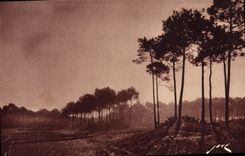 VINTAGE POSTCARD Arcachon Soft crossbred of autumn to the Dunes in the Drill