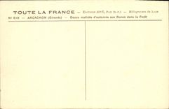 VINTAGE POSTCARD Arcachon Soft crossbred of autumn to the Dunes in the Drill