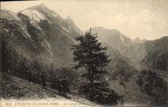 VINTAGE POSTCARD Environs of the Mount Gilds the Falls