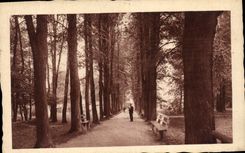 CPA Stubinanske Teplice Hlavna Alea Stunenbad Hauptalee Stubnyafurdo Parksetany L'Allee Prinicipale
