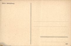 POSTAL Mahr Schonberg de la VENDIMIA