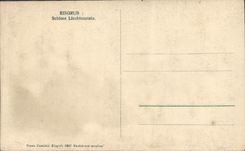 POSTAL Eisorub Schloss Liechtenstein de la VENDIMIA