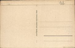 POSTAL Plzen de la VENDIMIA