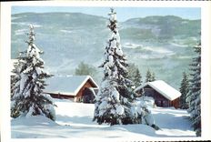 CPM Norge Vinter Ved Tretten I Gudbrandsdalen