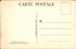 CPA Troupes Coloniales Tirailleurs senegalais Senegal Militaria 