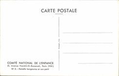 CPM Comite National De L'Enfance Avenue Franklin D Roosevelt Paris Femelle Kangourou Et son Petit Zoo