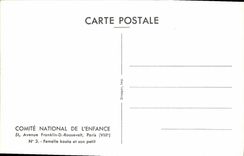CPM Comite National De L'Enfance Avenue Franklin D Roosevelt Paris Femelle Koala Et Son petit Zoo