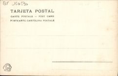 VINTAGE POSTCARD Puntilla Bullfight Bull