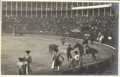 VINTAGE POSTCARD Citando Para Picar Bullfight Bull