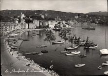 MODERN CARD S Margherita L Panorama LED Oporto