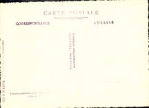 CPA Cote d'Azur Oliviers Dans La Campagne