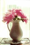 CPM Betsy O'Hara Sunlit roses 