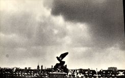 CPM Paris Venezia Place des Vosges Pigeon