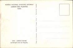 VINTAGE POSTCARD Paris National Museum Of Natural history Botanical garden Wintergarden the Backwater with Vaquois