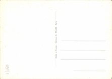 CPA Il me semble que vous allez un peu vite L' habitude Je suis dans les chars Militaria Humour