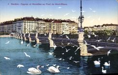 VINTAGE POSTCARD Geneva Swans and Gulls with the Bridge of Mont Blanc