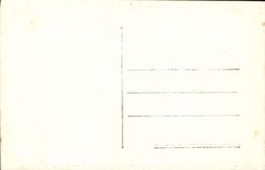 CPA Firenze Galleria Pitti Ritratto di denns gravida Rafaello