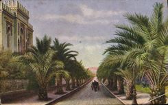 VINTAGE POSTCARD Hyeres