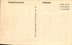 CPA Chamonix Le Mont Blanc Les Aiguilles