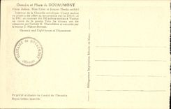 VINTAGE POSTCARD Ossuary and Lighthouse of Douamont Militaria Interior of the catholic vault