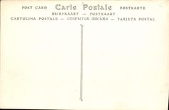 CPA Nice Vue Generale Prise Du Mont Boron